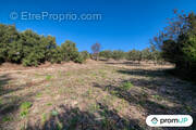 Terrain à CAUNES-MINERVOIS