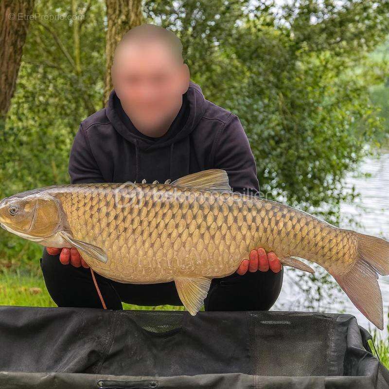 Terrain à SAVONNIERES