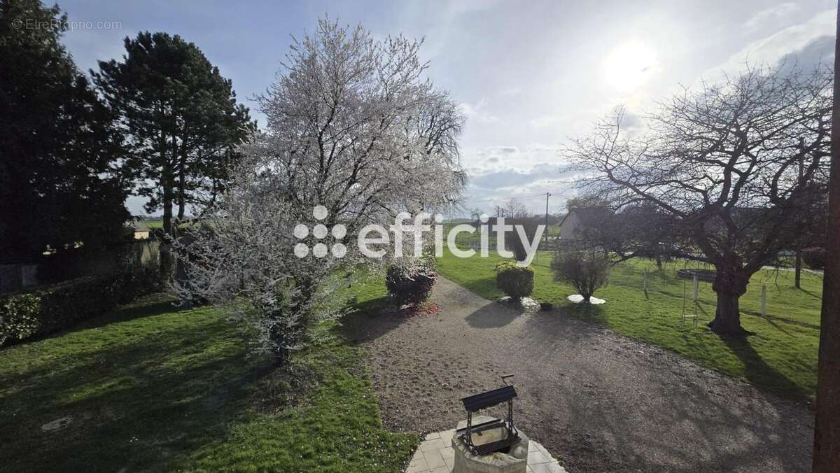 Maison à AMFREVILLE-LA-CAMPAGNE