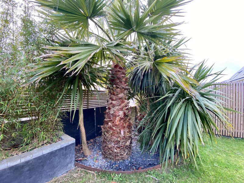 Dpt Finistère (29), à vendre CROZON maison P7 - photo 40