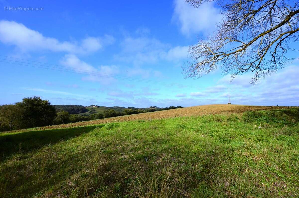 03  Terrain devant  land in front - Maison à PESSAN