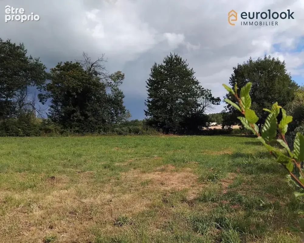 Tres beau terrain viabilise de 1086 m² a st guyomard - photo 1