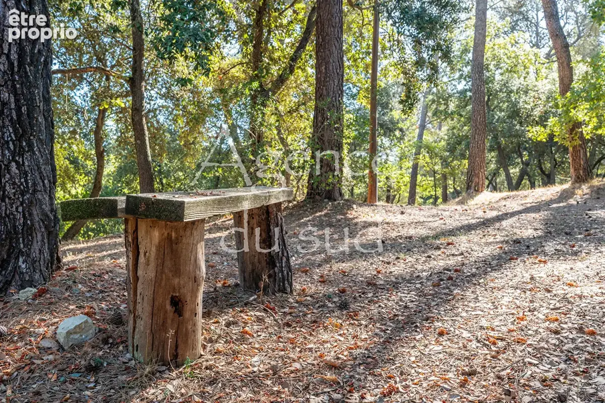 Villa 140m² sur 1 hectare  en pleine nature - photo 12