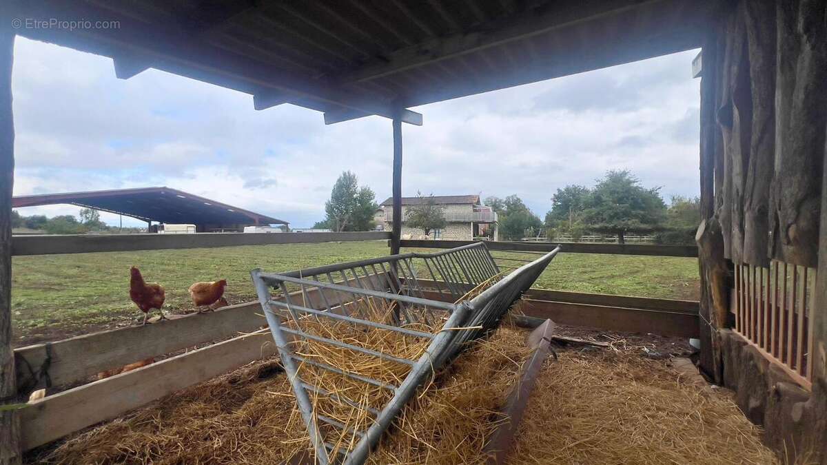 Photo 5 - Maison à GAILLAC