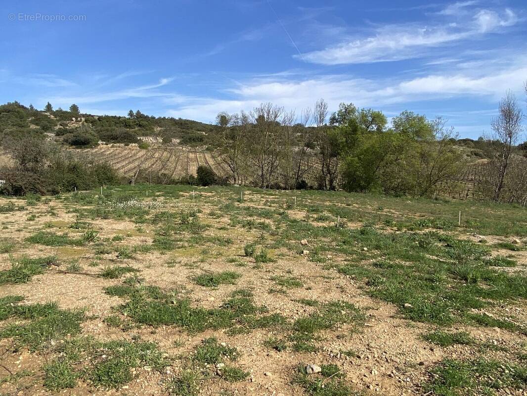 Terrain à CESSENON-SUR-ORB