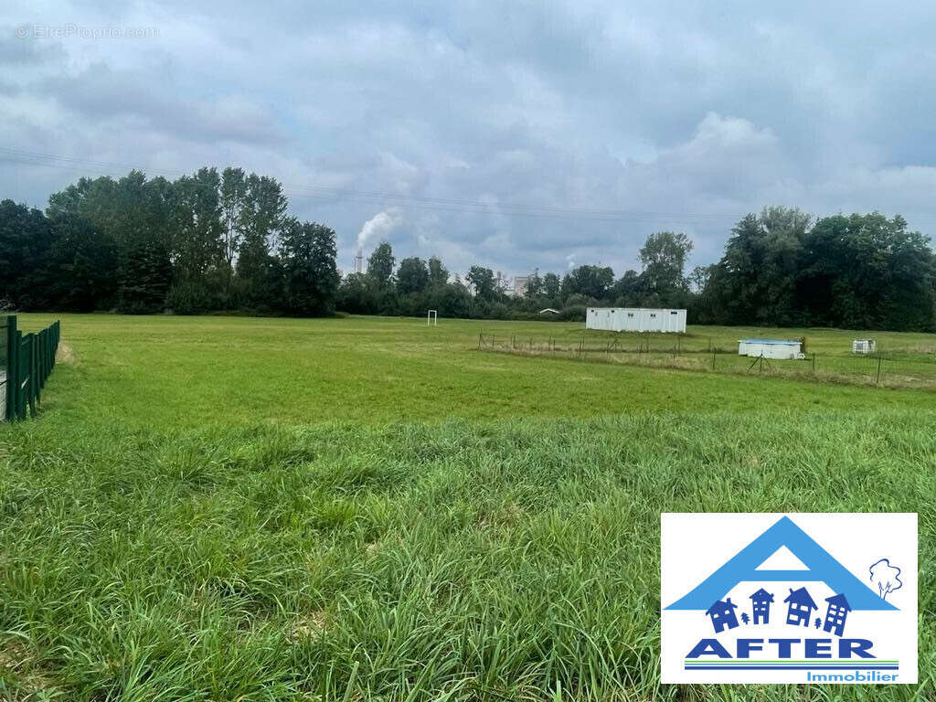 Terrain à SAINT-GORGON