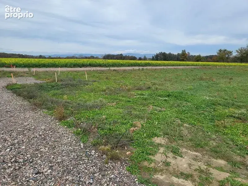 Terrain 788 m² à Chambeon  - photo 5