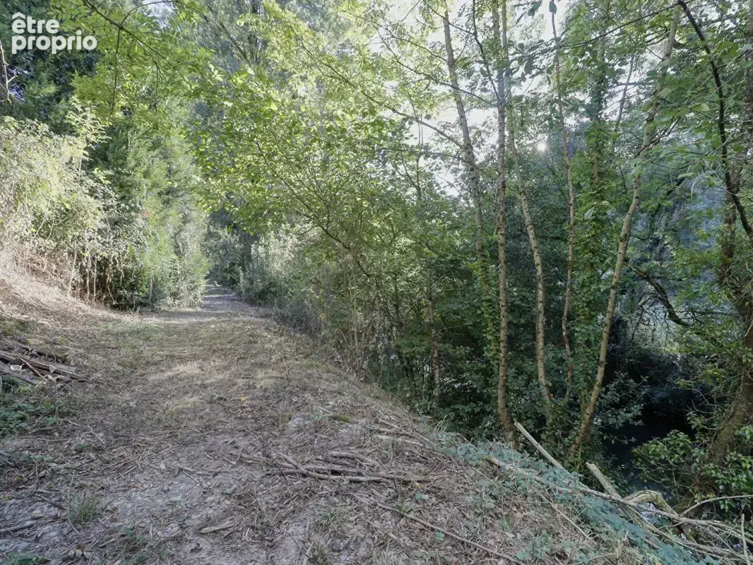 Maison 3 chambres avec grande terrasse et terrain de 2 300 m² bordé par une rivière - photo 18