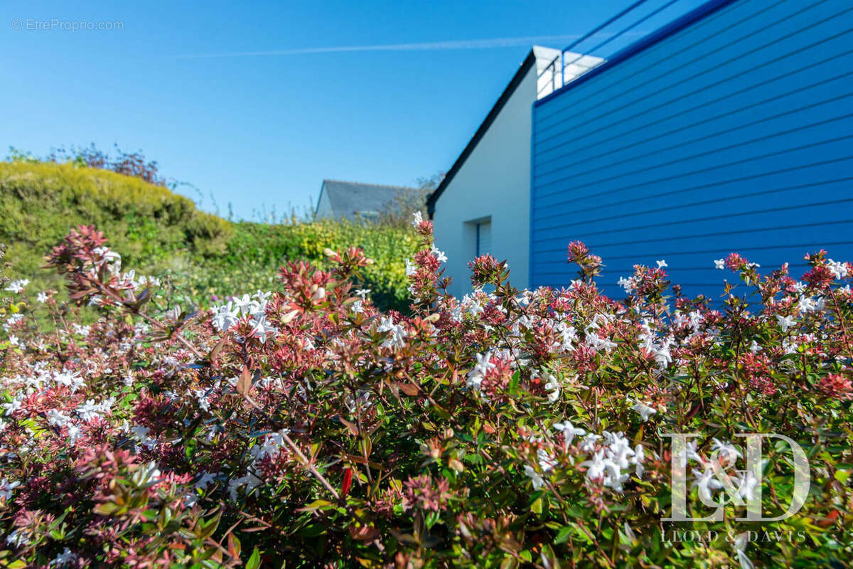 Maison à MOELAN-SUR-MER