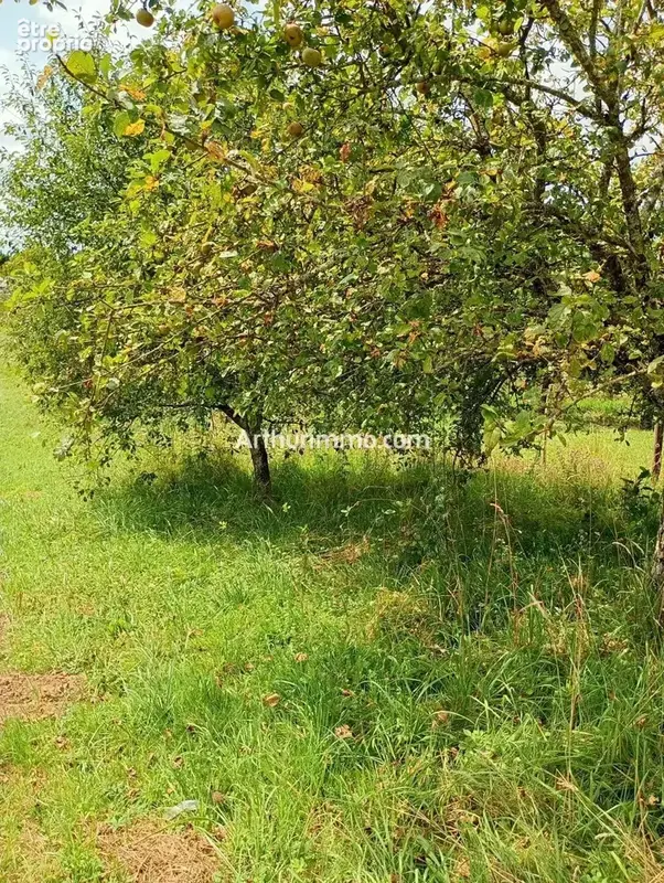Vente Terrain Saint-vit(25410) 18 000ï¿œ - photo 1