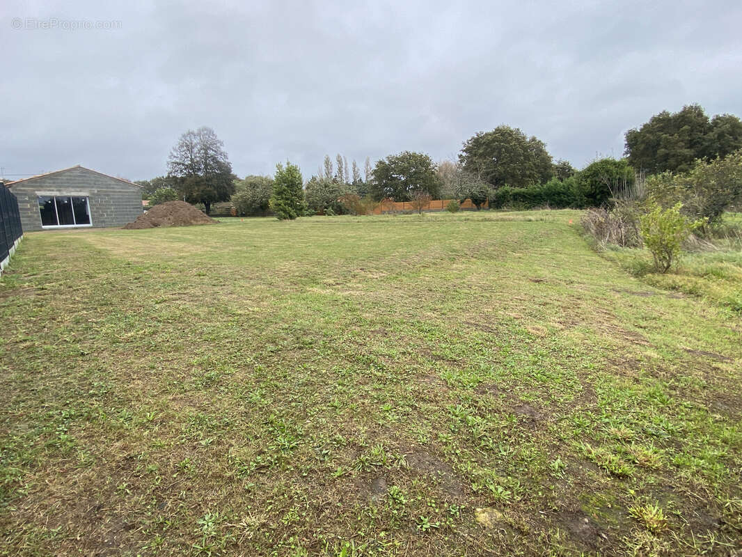 Terrain à ARTHON-EN-RETZ