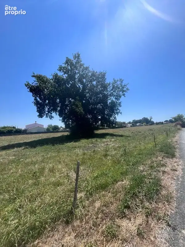 Terrain 312 m² à Medis  - photo 4