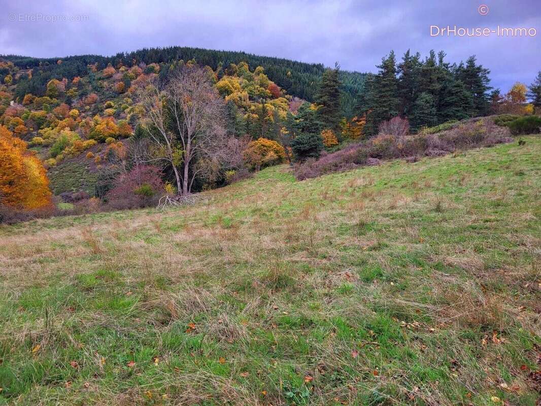 Maison à CROISANCES