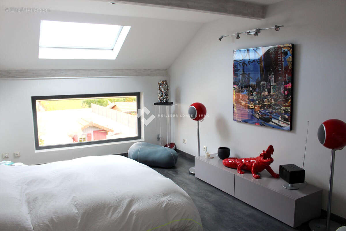 Maison 470 m² à Arthaz-Pont-Notre-Dame  - photo 6