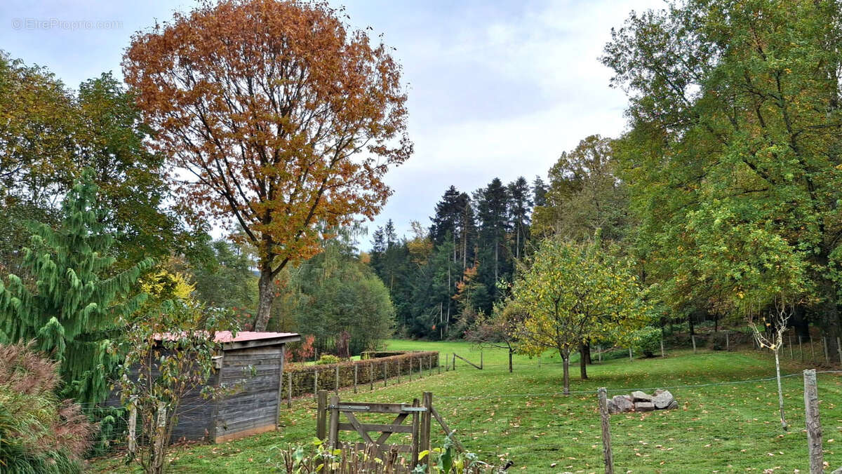 Maison à NOMPATELIZE