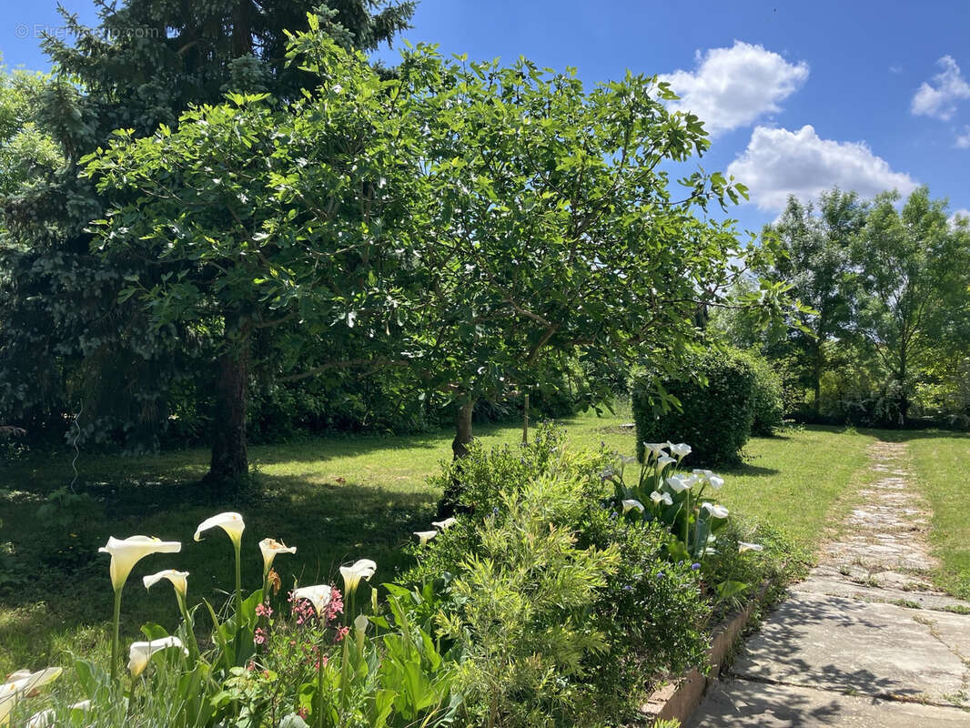 Maison à L'ISLE-JOURDAIN