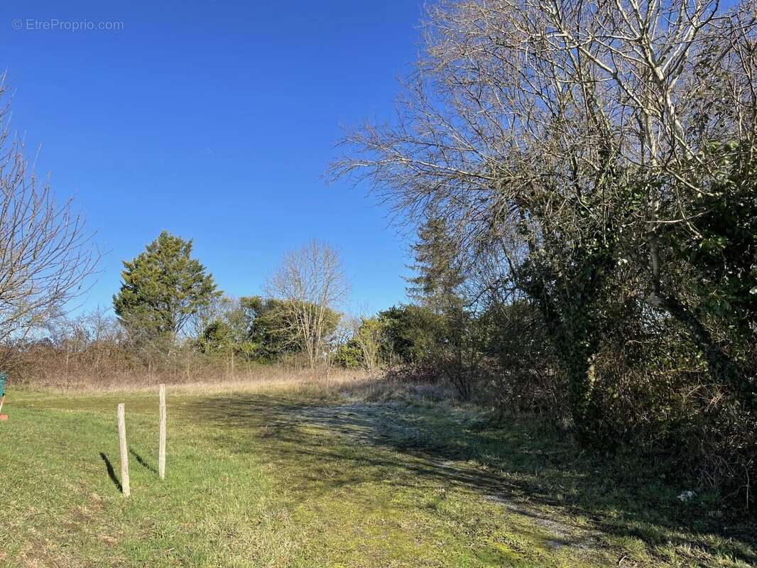 Terrain à VERTEILLAC