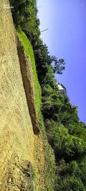 Terrain 440 m² à Saint-Laurent-Du-Var  - photo 3