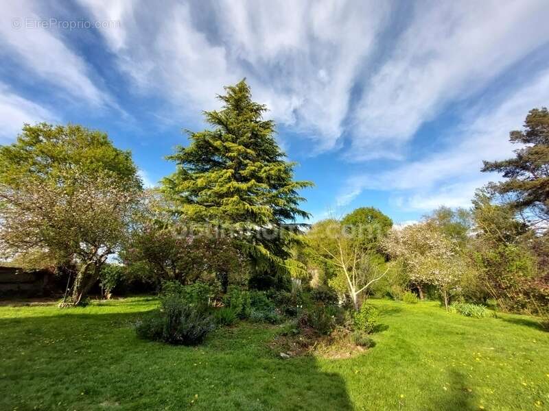 Maison à SAINT-MEEN-LE-GRAND