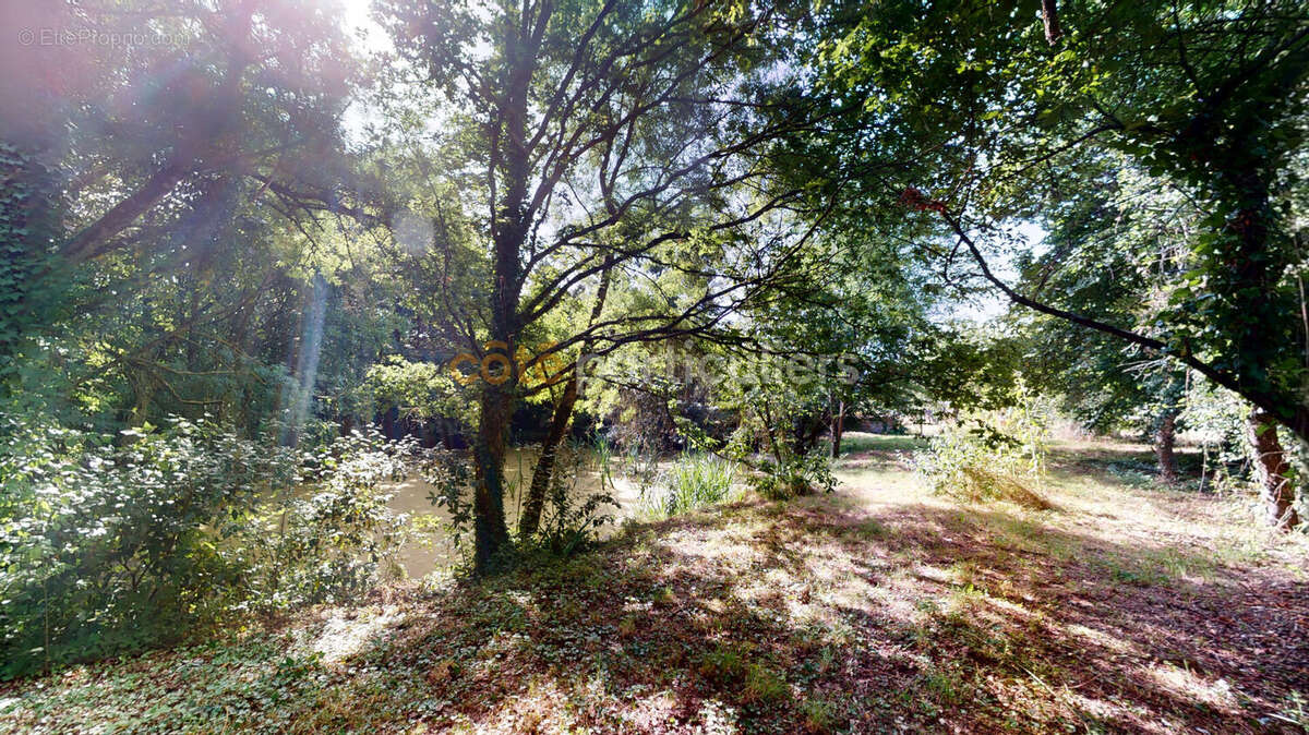 Maison de maître de caractère avec étang, dépendance et parc de 2 300 m² ? Bourg Joué-sur-Erdre - photo 2