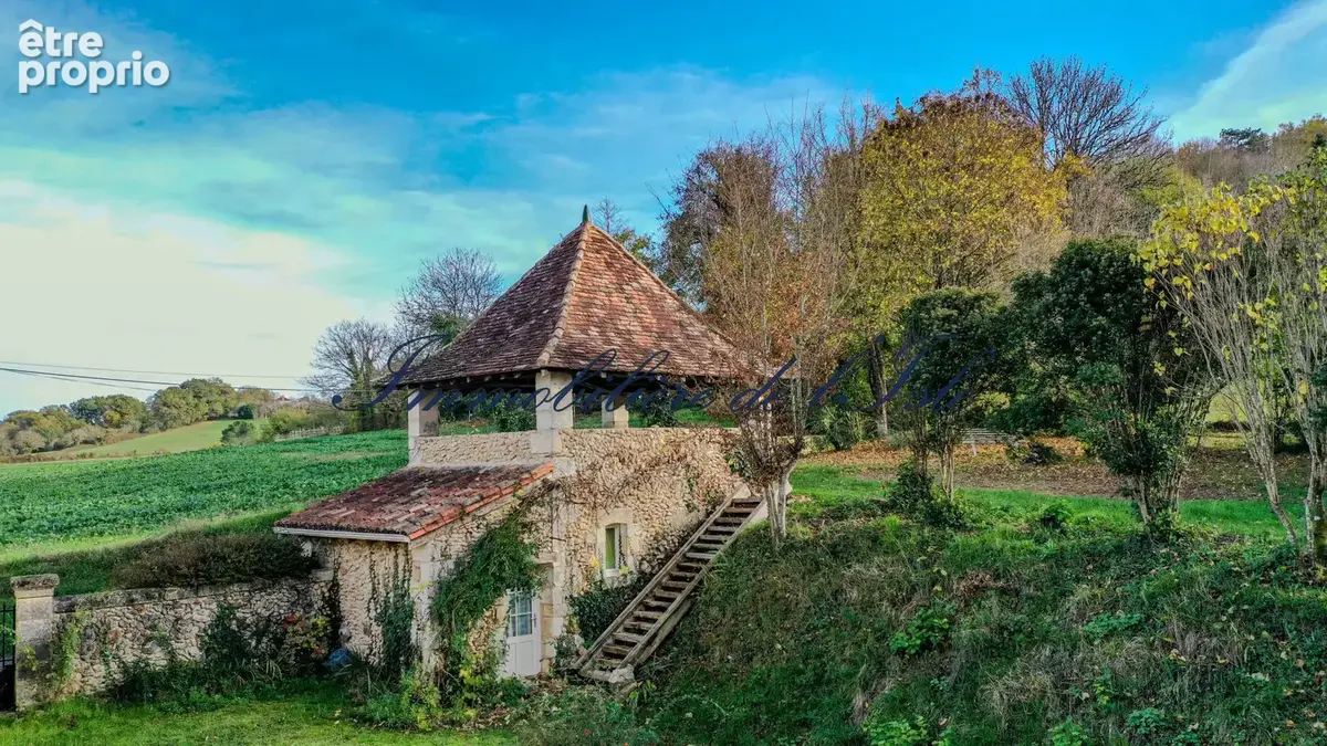 Domaine de caractere avec gite et pigeonnier - photo 4
