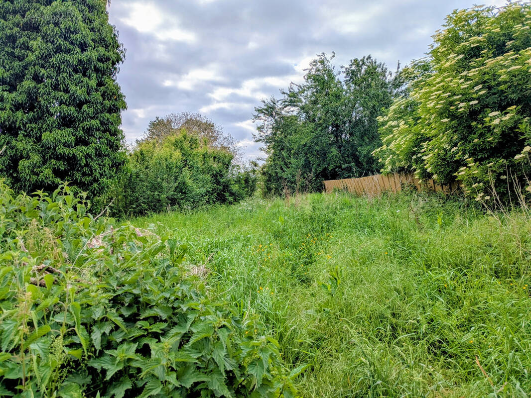 Terrain à LORMAISON