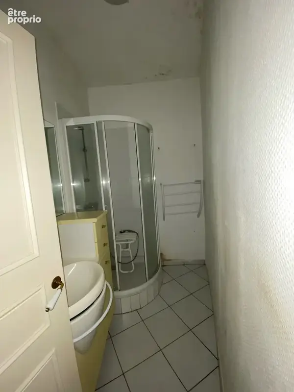Vichy centre, quartier Opéra / Parcs des sources, T3 de 104 m2 - photo 8