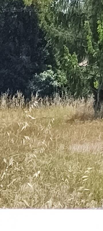 Terrain à LA TREMBLADE