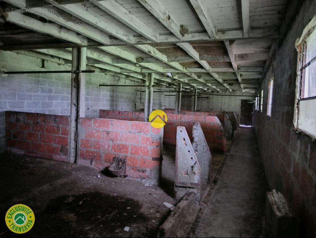 Commerce à LURCY-LEVIS