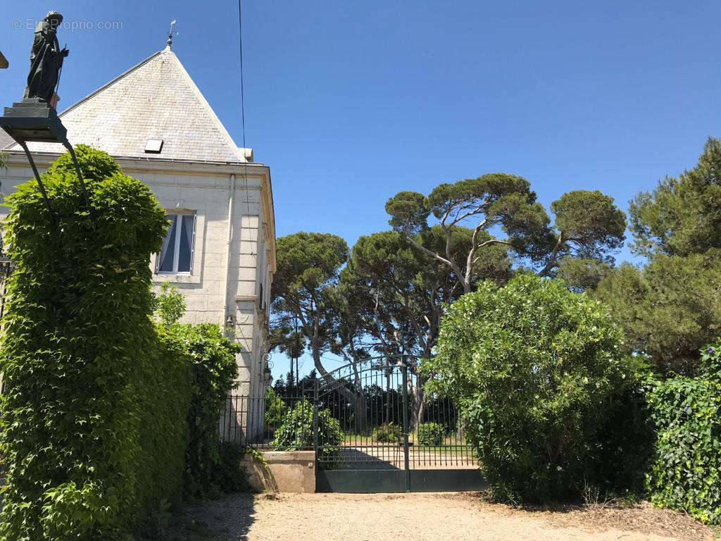 Exceptionnelle propriété viticole du XIX siècle, symbole du patrimoine languedocien - photo 15