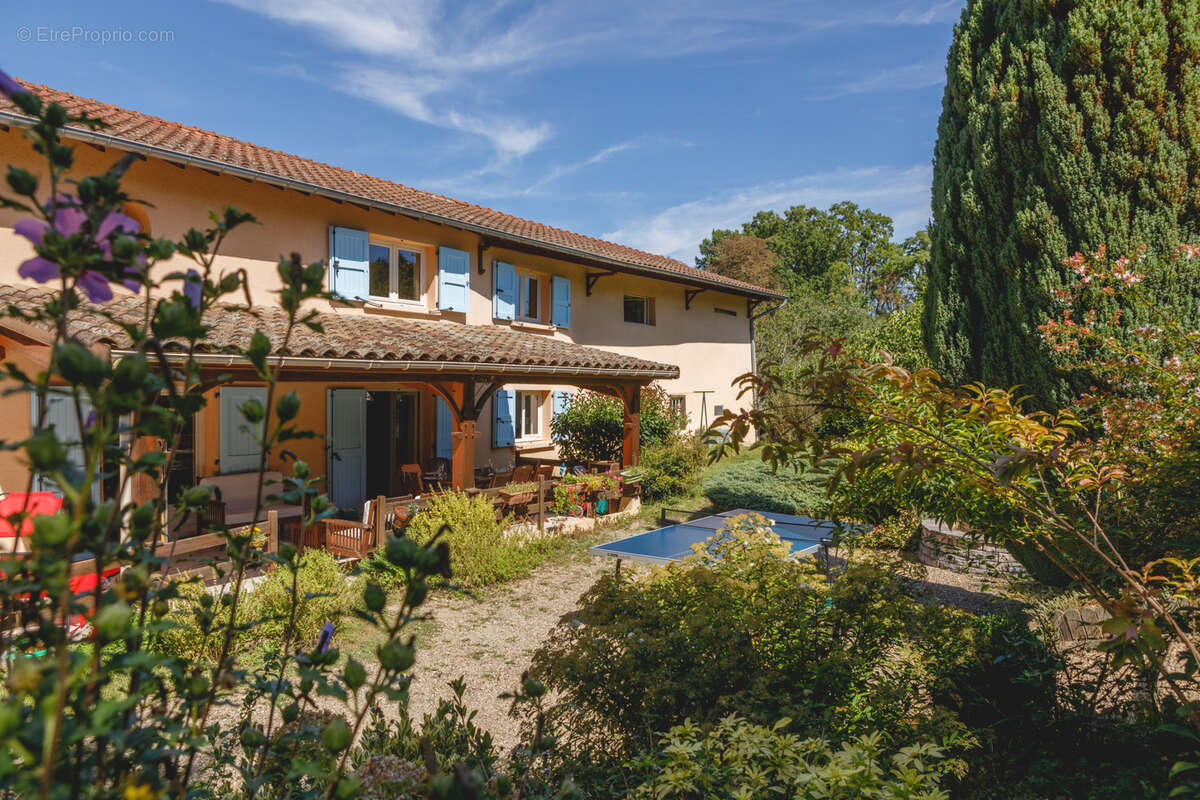 Maison à MONTMERLE-SUR-SAONE
