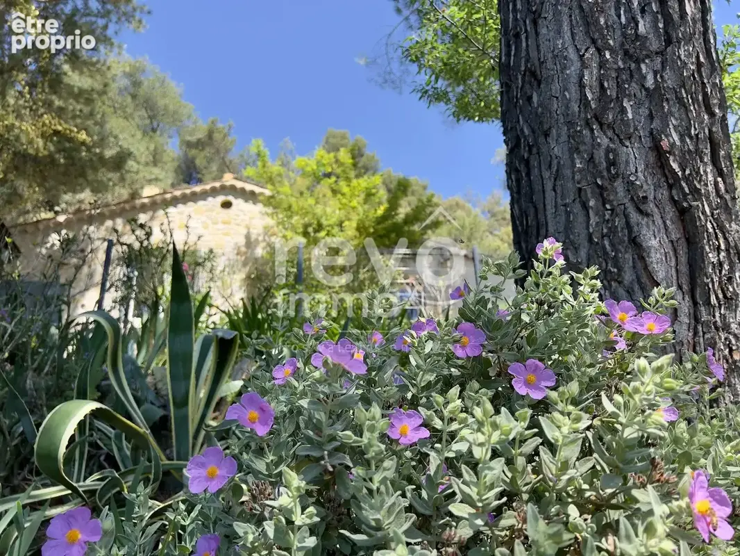 Votre havre de paix en Provence, avec le château en toile de fond ! - photo 13