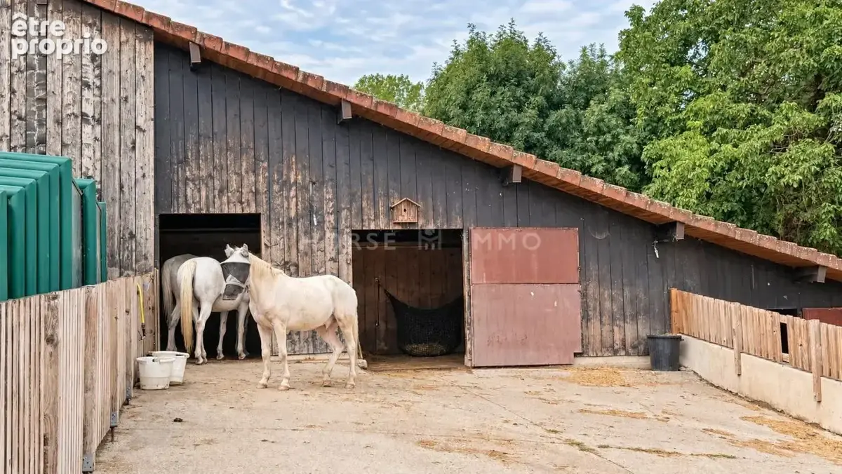 Propriété équestre de caractère, trois logements et cadre ve - photo 18