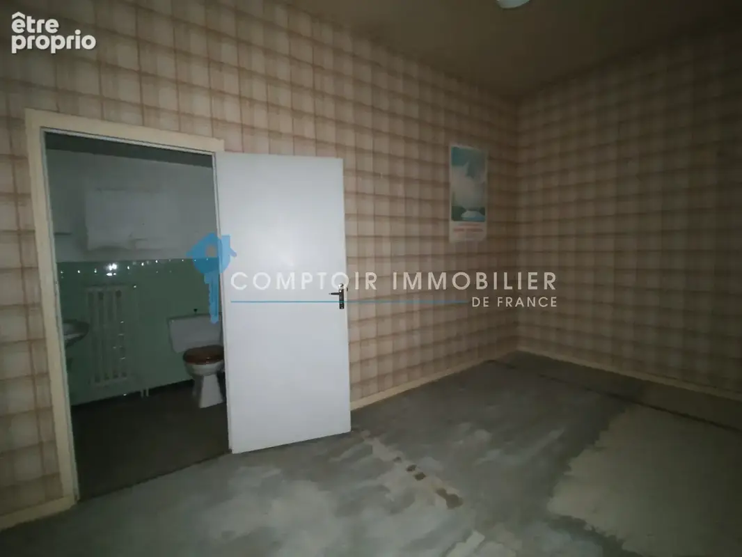 Ensemble immobilier à rénover au centre de Montferrat 38620 - photo 12