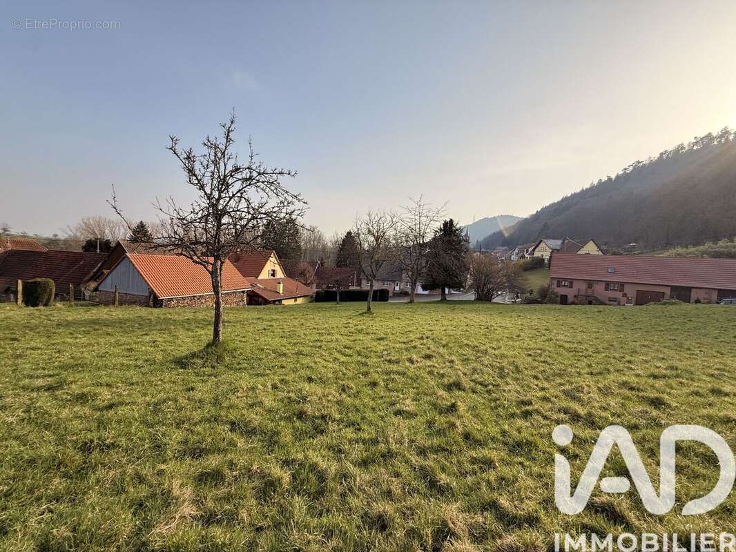Terrain 726 m² à Reinhardsmunster  - photo 6