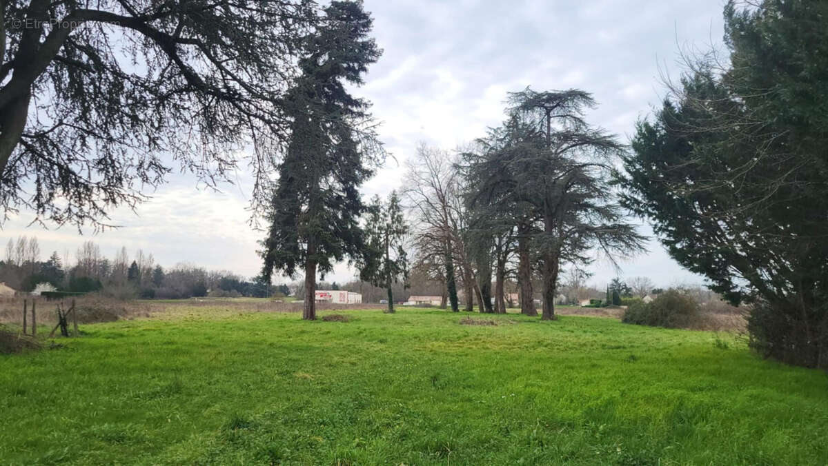 Terrain à MENESPLET