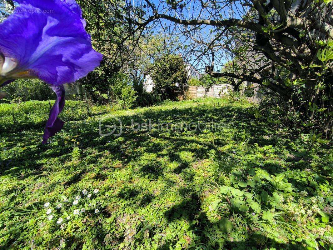 Maison à CHATEAU-RENAULT