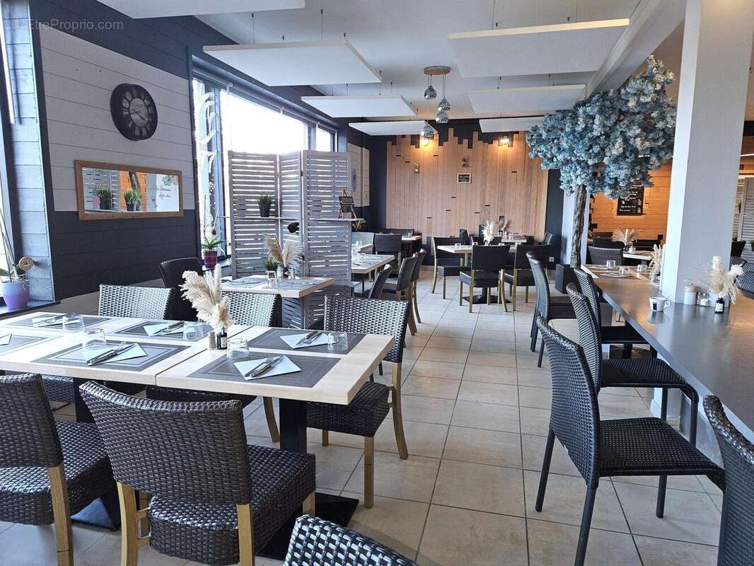 Photo 2 - Commerce à SAINT-LO