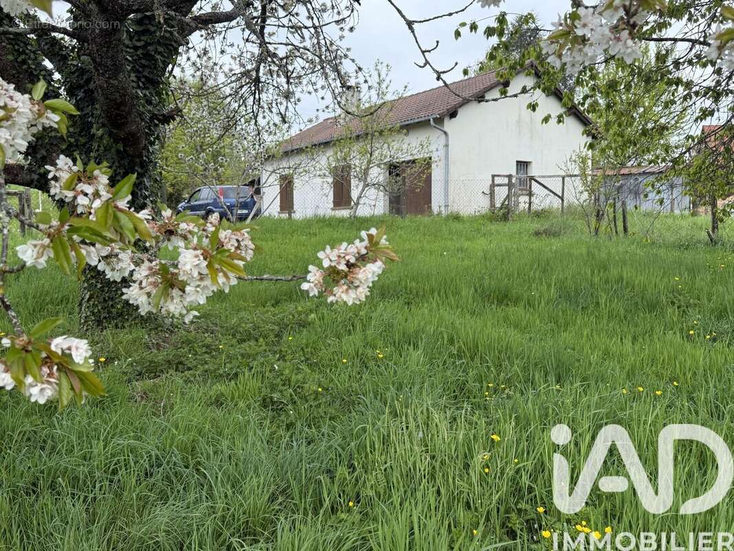 Photo 2 - Maison à BUSSIERE-GALANT