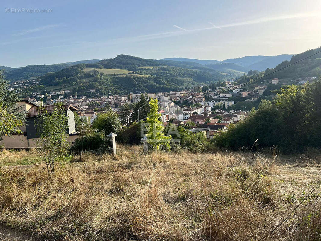 Terrain 960m² à tarare - photo 5