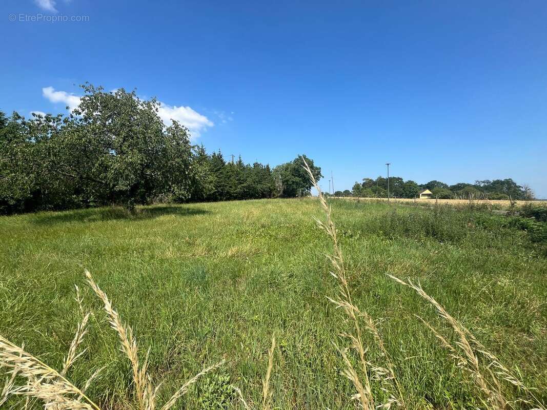 Terrain à OBERBRONN