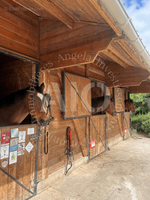 Terrain à LA BOISSE