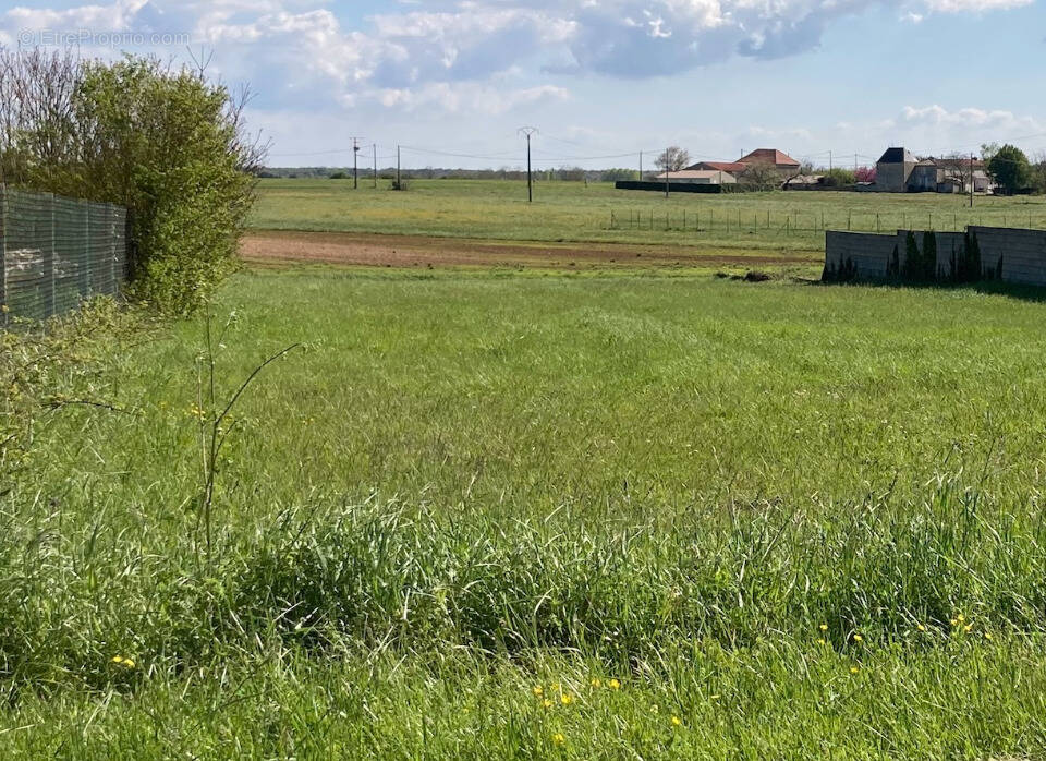 Terrain à CHAMPAGNOLLES
