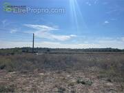 Terrain à POUZOLLES