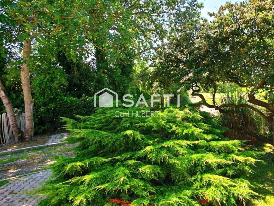 Photo 7 - Maison à LANCHERES