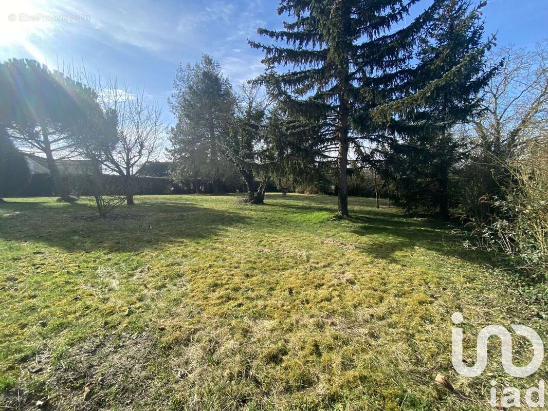 Photo 2 - Terrain à CANLY