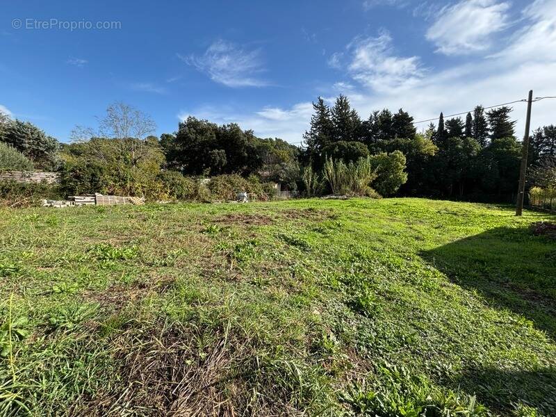 Terrain à LA ROQUETTE-SUR-SIAGNE
