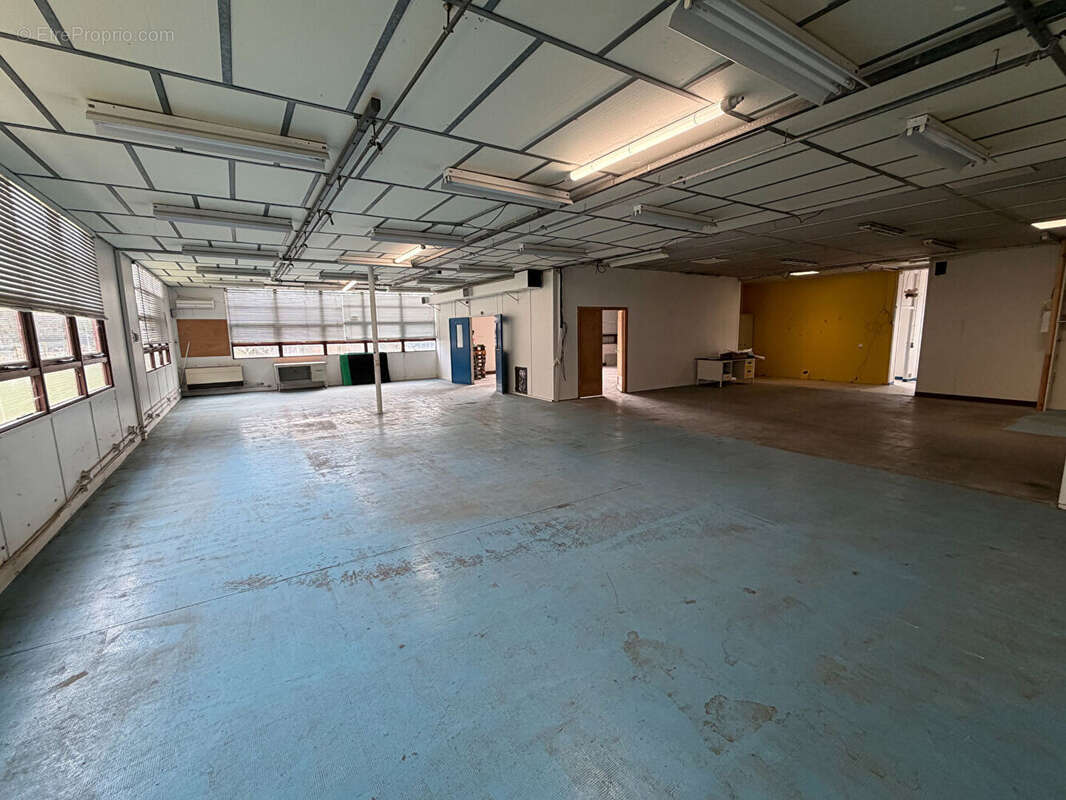 Commerce à CAUCALIERES