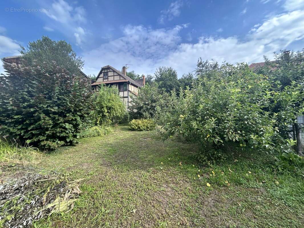 Maison à PFULGRIESHEIM