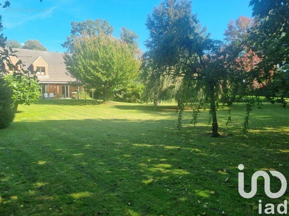 Photo 7 - Maison à VILLENEUVE-D&#039;ASCQ